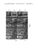 Joint View Expansion And Filtering For Automultiscopic 3D Displays diagram and image