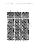 Joint View Expansion And Filtering For Automultiscopic 3D Displays diagram and image