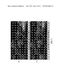 Joint View Expansion And Filtering For Automultiscopic 3D Displays diagram and image