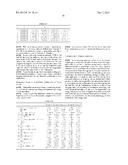 ZOOM LENS AND IMAGING APPARATUS diagram and image