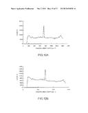 DETECTION APPARATUS diagram and image