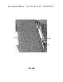 SPEAKER FAN SYSTEM AND METHOD diagram and image