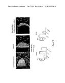 Devices, Systems, and Methods for Conducting Assays with Improved     Sensitivity Using Sedimentation diagram and image