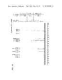 HALOGENATED COMPOUNDS FOR CANCER IMAGING AND TREATMENT AND METHODS FOR     THEIR USE diagram and image