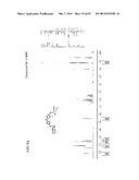 HALOGENATED COMPOUNDS FOR CANCER IMAGING AND TREATMENT AND METHODS FOR     THEIR USE diagram and image