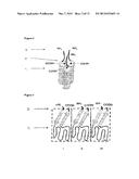 TRAIL SINGLE CHAIN MOLECULES diagram and image