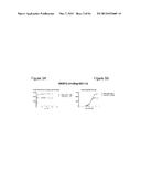 Single-Arm Monovalent Antibody Constructs and Uses Thereof diagram and image