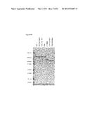 Single-Arm Monovalent Antibody Constructs and Uses Thereof diagram and image