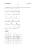 Single-Arm Monovalent Antibody Constructs and Uses Thereof diagram and image