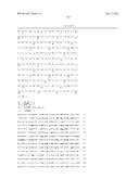 Single-Arm Monovalent Antibody Constructs and Uses Thereof diagram and image