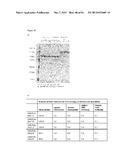 Single-Arm Monovalent Antibody Constructs and Uses Thereof diagram and image