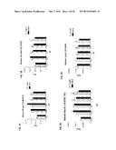 APELIN PEPTIDES, ANTIBODIES THERETO, AND METHODS OF USE diagram and image