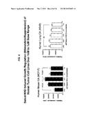 APELIN PEPTIDES, ANTIBODIES THERETO, AND METHODS OF USE diagram and image