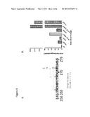 ANTIBODIES AGAINST AND METHODS FOR PRODUCING VACCINES FOR RESPIRATORY     SYNCYTIAL VIRUS diagram and image