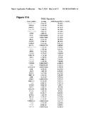 COMPOSITIONS AND METHODS FOR LUNG REGENERATION diagram and image