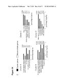 COMPOSITIONS AND METHODS FOR LUNG REGENERATION diagram and image