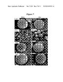 ACTIVE SELF-HEALING BIOMATERIAL SYSTEM diagram and image