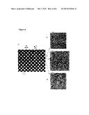 TOPOLOGICALLY STRUCTURED POLYMER COATING diagram and image