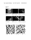 TOPOLOGICALLY STRUCTURED POLYMER COATING diagram and image