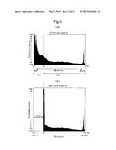 LIGHT-REFLECTION/LIGHT-TRANSMISSION IMAGE SHEET AND METHOD FOR FORMING     LIGHT-REFLECTION/LIGHT-TRANSMISSION IMAGE SHEET diagram and image