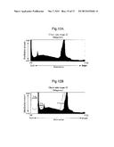 LIGHT-REFLECTION/LIGHT-TRANSMISSION IMAGE SHEET AND METHOD FOR FORMING     LIGHT-REFLECTION/LIGHT-TRANSMISSION IMAGE SHEET diagram and image