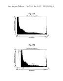 LIGHT-REFLECTION/LIGHT-TRANSMISSION IMAGE SHEET AND METHOD FOR FORMING     LIGHT-REFLECTION/LIGHT-TRANSMISSION IMAGE SHEET diagram and image