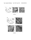 NANOSTRUCTURED ORGANIC MATERIALS AND A PROCESS FOR THE PREPARATION THEREOF diagram and image