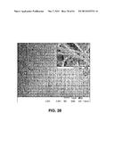 High-Rate Overcharge-Protection Separators for Rechargeable Lithium-Ion     Batteries and the Method of Making the Same diagram and image