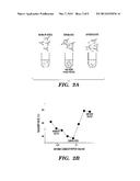 TRANSIENT FLOW ASSAY diagram and image