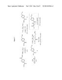 PROBE INCORPORATION MEDIATED BY ENZYMES diagram and image