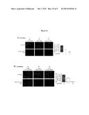 PROBE INCORPORATION MEDIATED BY ENZYMES diagram and image