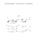 PROBE INCORPORATION MEDIATED BY ENZYMES diagram and image