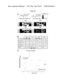 PROBE INCORPORATION MEDIATED BY ENZYMES diagram and image