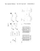 PROBE INCORPORATION MEDIATED BY ENZYMES diagram and image