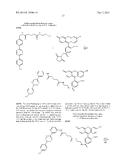 PROBE INCORPORATION MEDIATED BY ENZYMES diagram and image