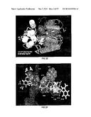 COVALENT TETHERING OF FUNCTIONAL GROUPS TO PROTEINS AND SUBSTRATES     THEREFOR diagram and image