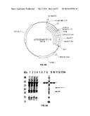 COVALENT TETHERING OF FUNCTIONAL GROUPS TO PROTEINS AND SUBSTRATES     THEREFOR diagram and image