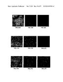 COVALENT TETHERING OF FUNCTIONAL GROUPS TO PROTEINS AND SUBSTRATES     THEREFOR diagram and image