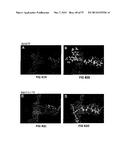 COVALENT TETHERING OF FUNCTIONAL GROUPS TO PROTEINS AND SUBSTRATES     THEREFOR diagram and image