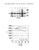 COVALENT TETHERING OF FUNCTIONAL GROUPS TO PROTEINS AND SUBSTRATES     THEREFOR diagram and image