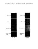 COVALENT TETHERING OF FUNCTIONAL GROUPS TO PROTEINS AND SUBSTRATES     THEREFOR diagram and image