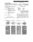 NANOSTRUCTURED ARRAYS ON FLEXIBLE POLYMER FILMS diagram and image