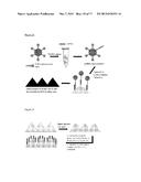 NANOSTRUCTURED ARRAYS ON FLEXIBLE POLYMER FILMS diagram and image