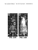 DETECTING CANCER WITH ANTI-CXCL13 AND ANTI-CXCR5 ANTIBODIES diagram and image