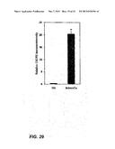 DETECTING CANCER WITH ANTI-CXCL13 AND ANTI-CXCR5 ANTIBODIES diagram and image