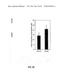 DETECTING CANCER WITH ANTI-CXCL13 AND ANTI-CXCR5 ANTIBODIES diagram and image