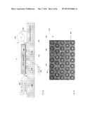 CELLARIUM:  THIN-FILM SENSOR WITH MICROARRAY SEAL diagram and image