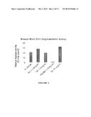 CO-ADMINISTRATION OF AN AGENT LINKED TO AN INTERNALIZATION PEPTIDE WITH AN     ANTI-INFLAMMATORY diagram and image