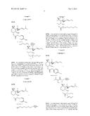 FUMIGILLOL COMPOUNDS AND METHODS OF MAKING AND USING SAME diagram and image