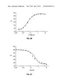 Identification of Stabilizers of Multimeric Proteins diagram and image